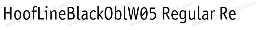HoofLineBlackOblW05 Regular Regula字体转换